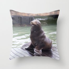 Seal Poses for Picture Throw Pillow