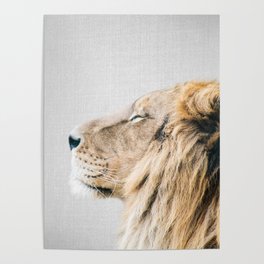 Lion Portrait - Colorful Poster