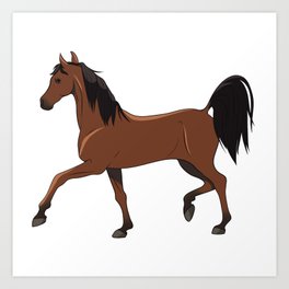 Brown Arabian Horse Art Print