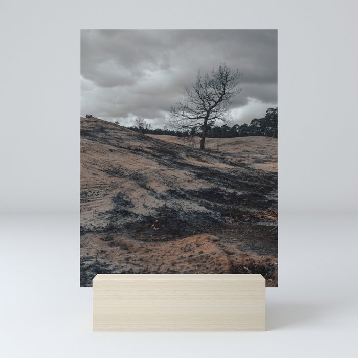 Lonely tree in wild landscape Mini Art Print