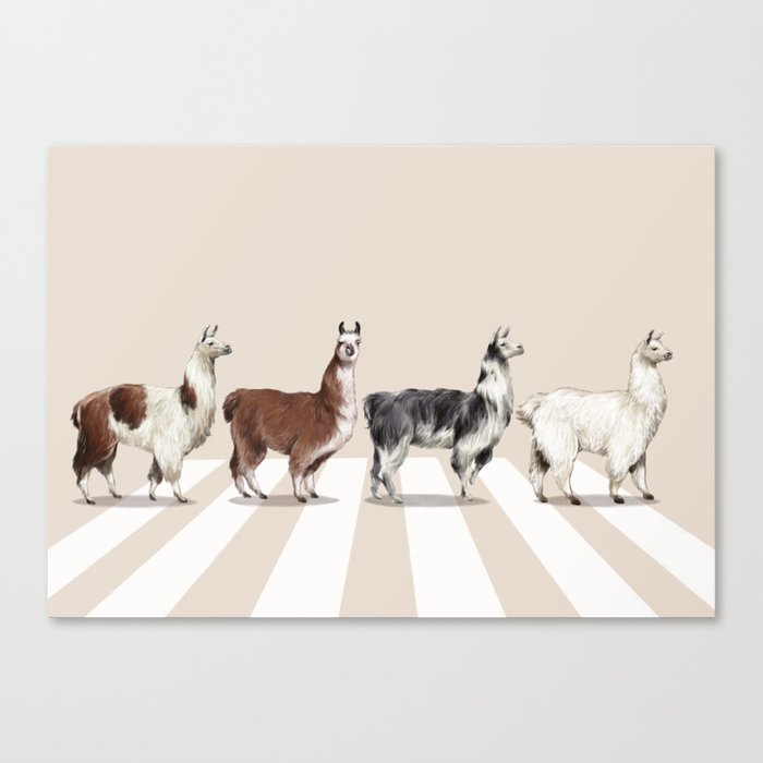 Llama The Abbey Road #2 Canvas Print