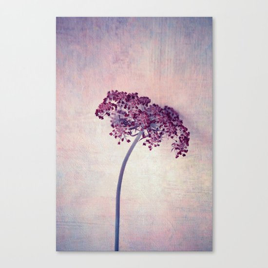 lilac Canvas Print