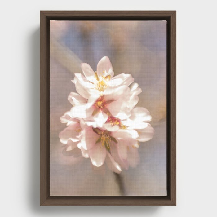 Almond blossom Framed Canvas