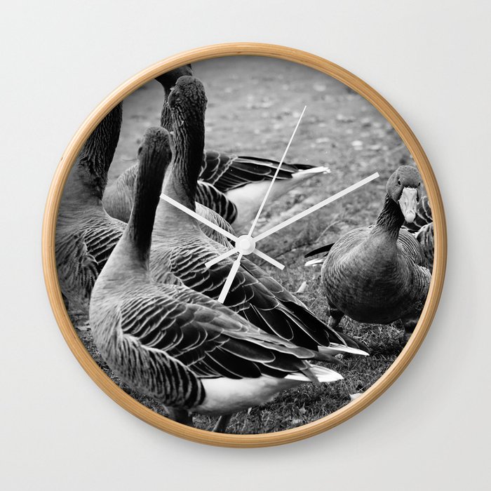 Flock of greylag geese in black and white | Waterfowls in monochrome Wall Clock