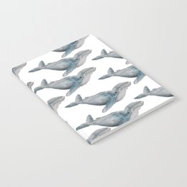 Whale whale whale.... Notebook