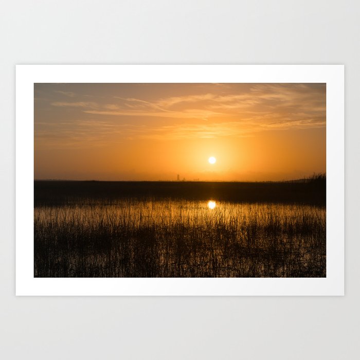 Everglade Sunrise Art Print