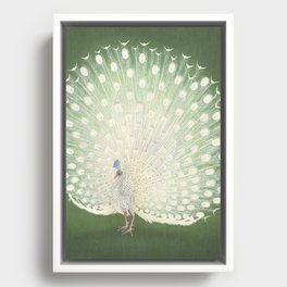 Peacock, Ohara Koson - Japanese Woodcut Framed Canvas