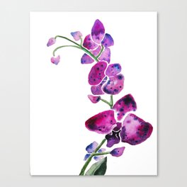 Purple Orchids Canvas Print