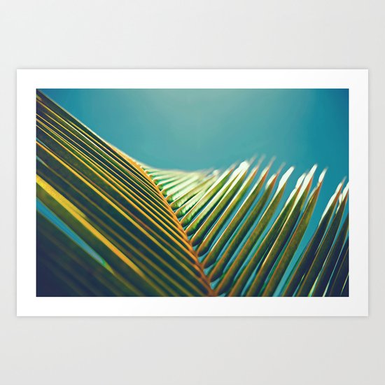 Palm Leaves in the Sun Art Print