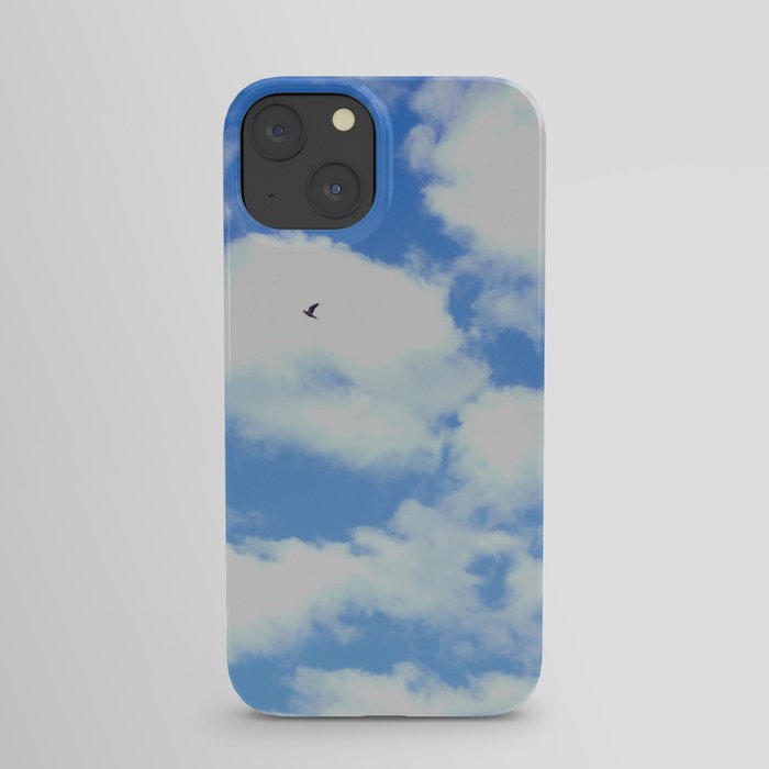 Flying solo iPhone Case