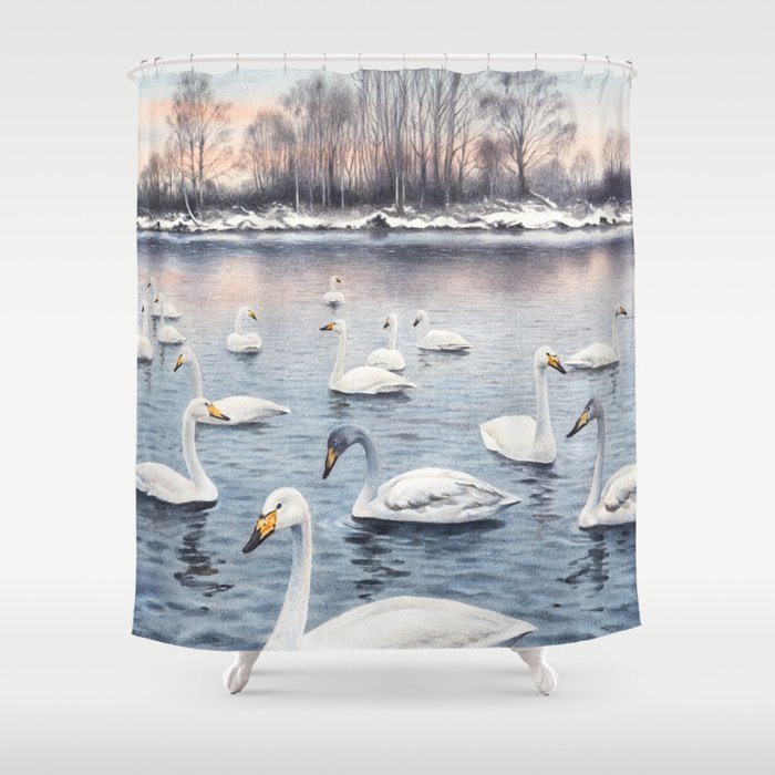 White mute swan on a lake Shower Curtain