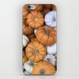 Pumpkins iPhone Skin