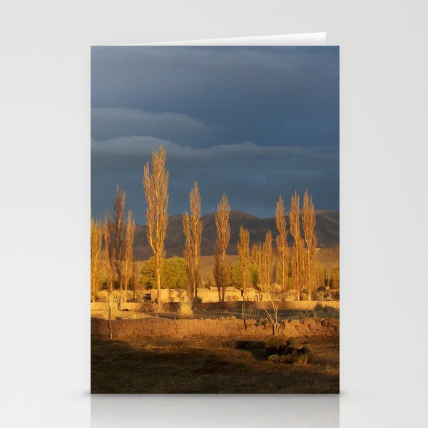 Argentina Photography - Trees In The Warm Sunset Stationery Cards