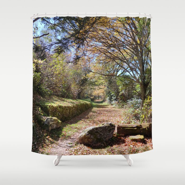 Walk With Me Shower Curtain