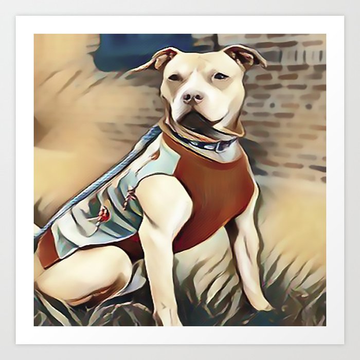 society6