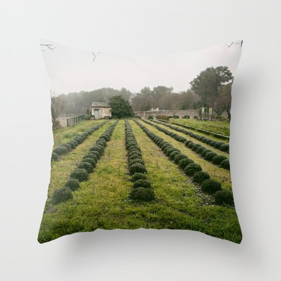 Van Gogh's View Throw Pillow