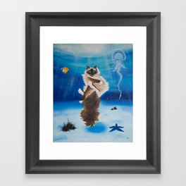 Ocean Cat  Framed Art Print
