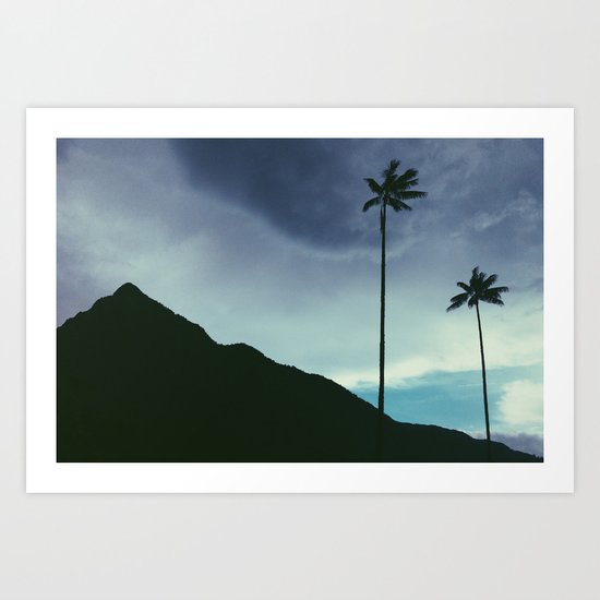 Palm trees Art Print