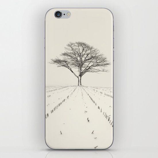 Winter Field iPhone & iPod Skin