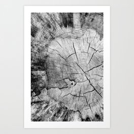 sawed tree texture Art Print