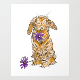 Bunny Rabbit Art Print