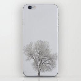 Lone Tree under Snow iPhone Skin