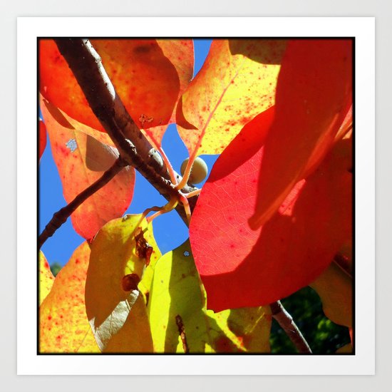 New Leaves Art Print