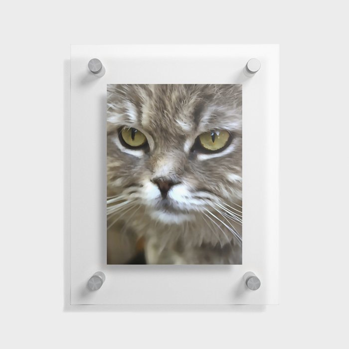 Stunning Grey Cat Pet Artistic Portrait Floating Acrylic Print