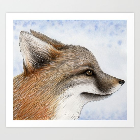 Grey Fox Art Print