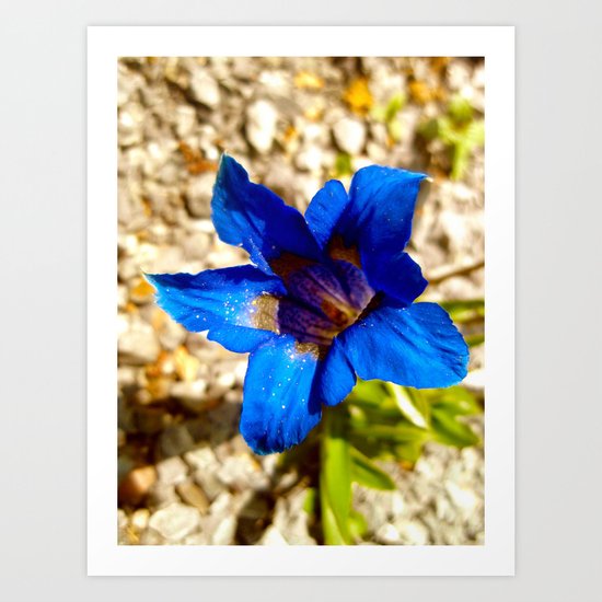 From the Ground Art Print