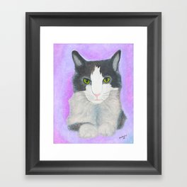 Cat Art - Spark the Cat  Framed Art Print
