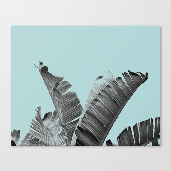 Cool palm spring break Canvas Print