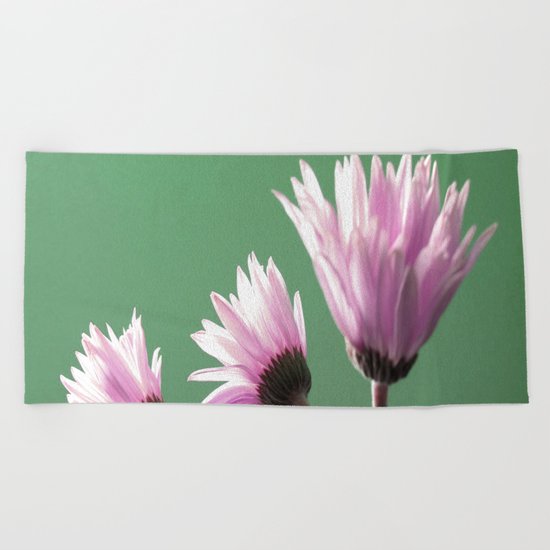 Rose Gerbera Daisy Beach Towel