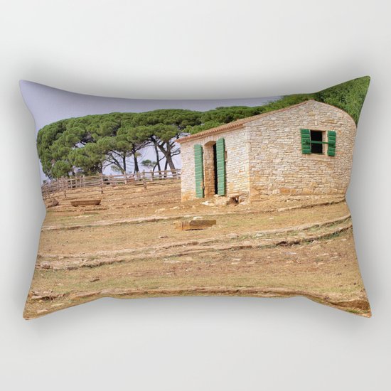 Barn Rectangular Pillow