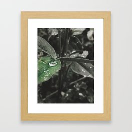 Droplet Framed Art Print