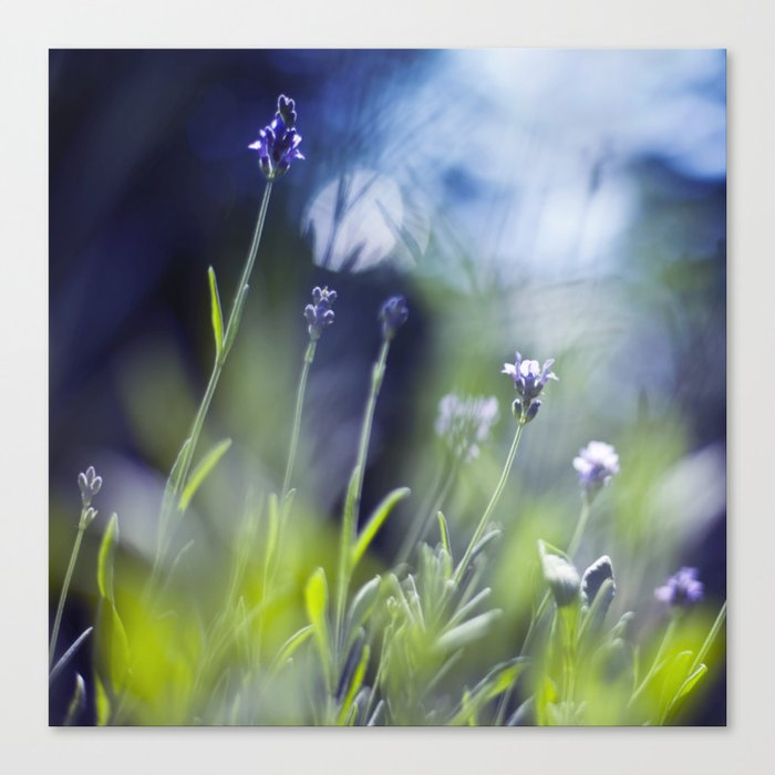 pieces of summer Canvas Print