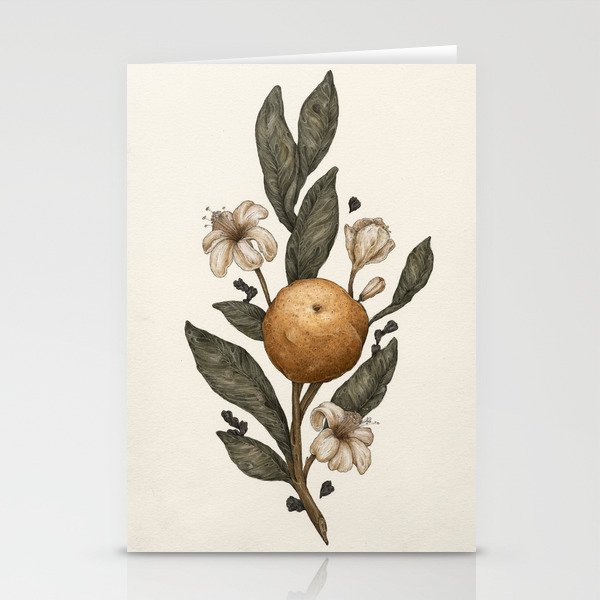 Clementine Stationery Cards