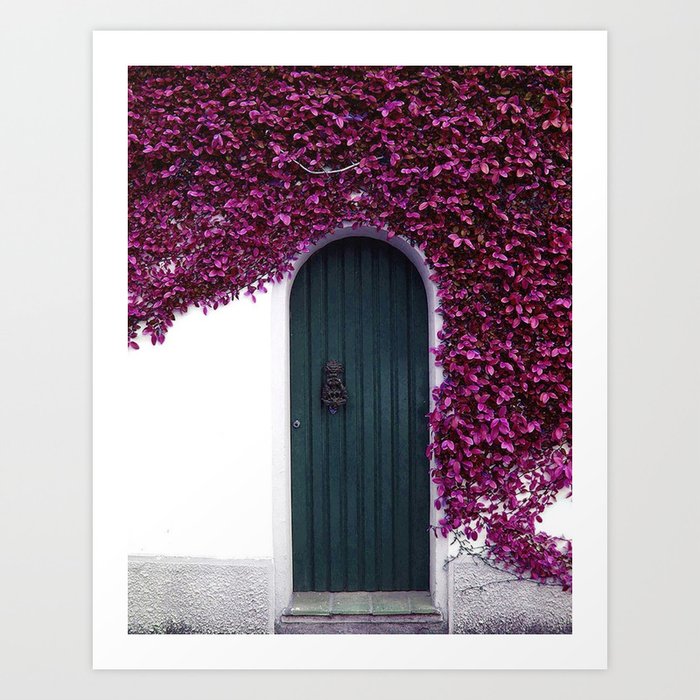 Purple Ivy Vine Doorway Photograph Art Print