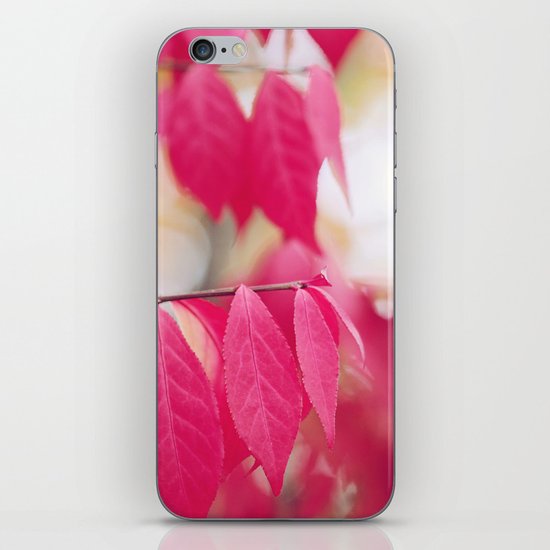 Autumn Splendor iPhone & iPod Skin