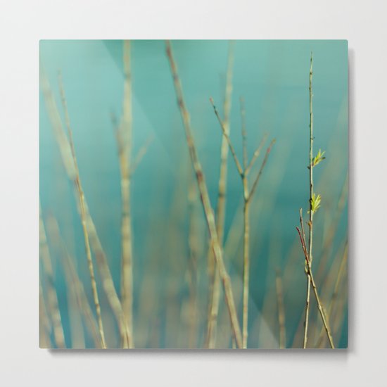 Twig Metal Print