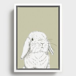 Curious Holland Lop Bunny - Taupe Framed Canvas