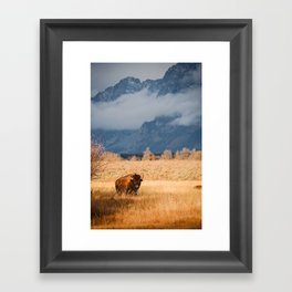 Bison in Wyoming - Nature Photography Framed Art Print