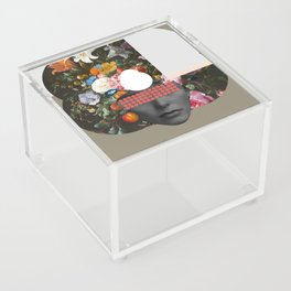 FlowerFrau · Dreamvision 221b Acrylic Box