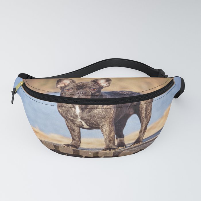 Vogue fanny best sale pack