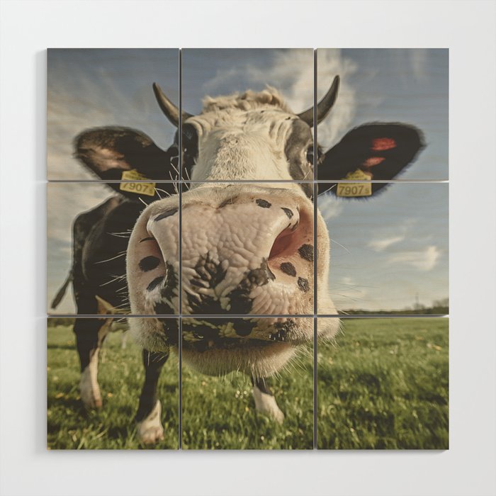 Inquisitive Cow Wood Wall Art