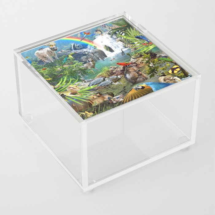 Jungle Waterfall Wild Animal Animals Scene Acrylic Box