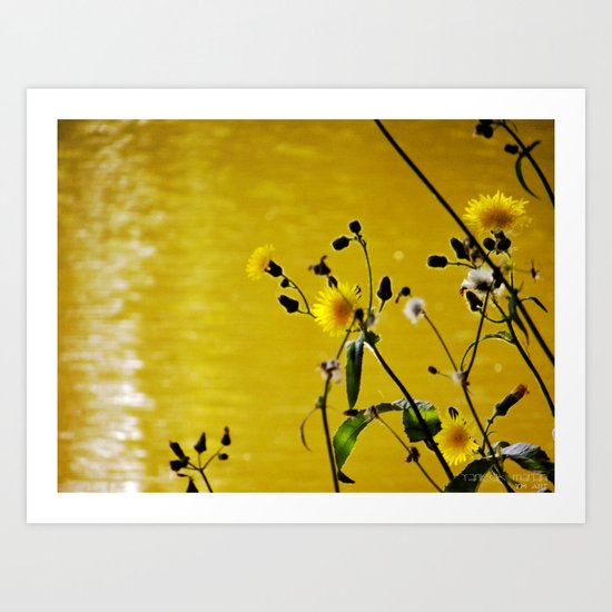 Kissed by the sun Art Print
