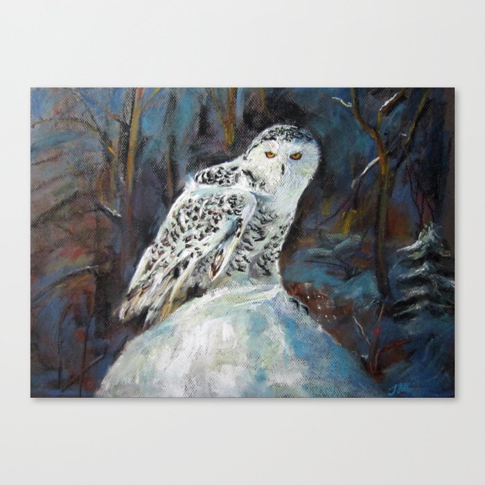 owl night Canvas Print
