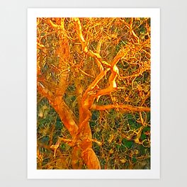 Golden Twisted Tree Art Print
