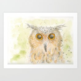 Watercolor Owl Art Prints For Any Decor Style Society6